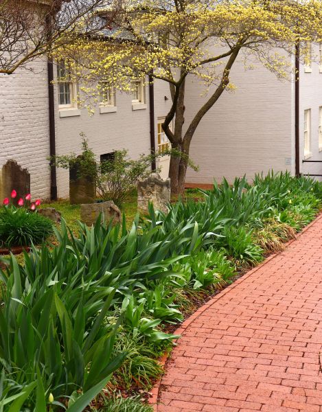 Brick Flatwork Repair